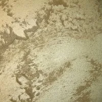 Декоративная штукатурка Mascarade Savanna 1кг